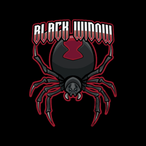 Black Widow Mascot Logo esports