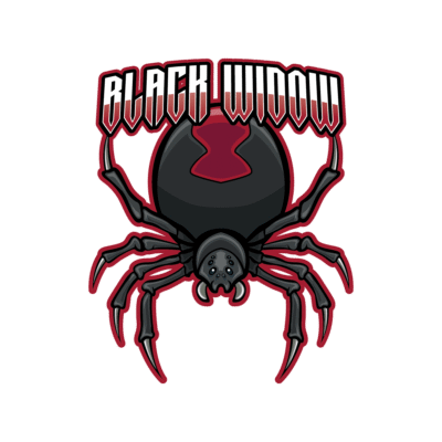 Black Widow Mascot Logo esports