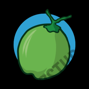 Green Coconut Vector Asset