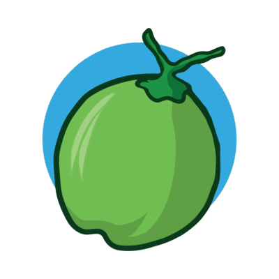 Green Coconut Vector Asset