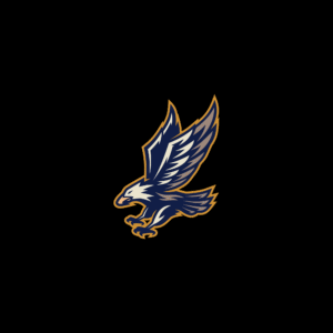 Hawk Mascot logo esports vector