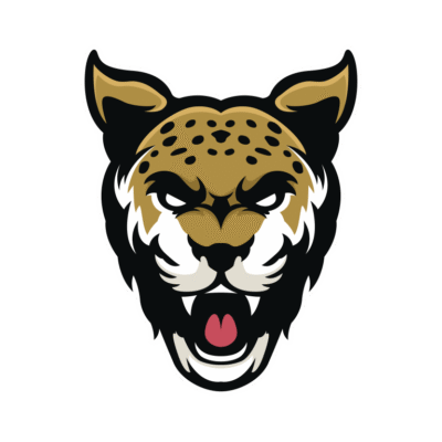 Furious Jaguar head mascot logo vector for esports sports logo or jaguar head vector asset element