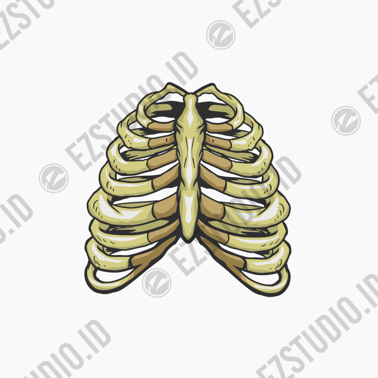 Rib skeleton vector asset skull skeleton ribs