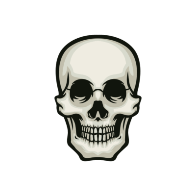 Skull head vector asset skeleton head horror head