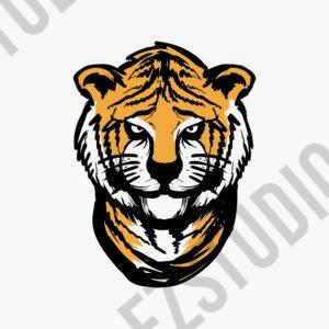 Tiger head vector Asset