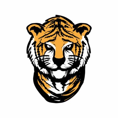 Tiger head vector Asset