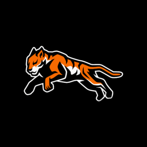 Tiger Jump Asset vector