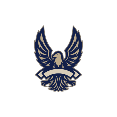 Wings Flapper Eagle mascot esports logo