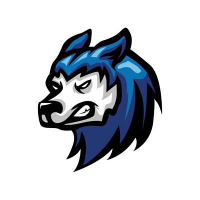 Wolf Head mascot logo vector